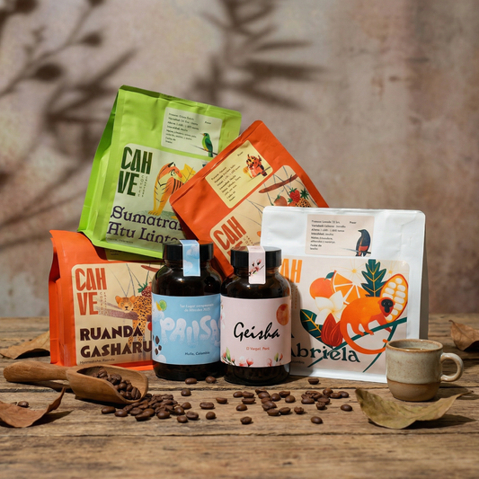 Pack 2 - 10% Descuento